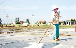 Những đứa trẻ vật vã mưu sinh trong “chảo lửa” miền Trung