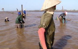 Sáu đám tang và cuộc đời chông chênh của những “phu ngao”