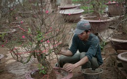 Làng hoa Hà Nội nhộn nhịp vào mùa