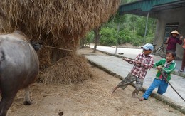 Ám ảnh đói nghèo ở làng “siêu đẻ”