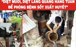 Ổ dịch sốt xuất huyết ở ngay trong nhà