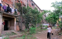 Việt Trì, Phú Thọ: Gần 100 hộ dân sống nơm nớp trong chung cư cũ