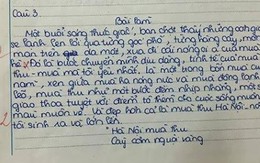 Phụ huynh học sinh có bài văn mở đoạn được 0 điểm lên tiếng