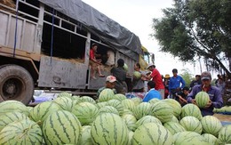 Buôn bán cả lòng trắc ẩn