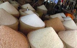 “Hô biến” gạo bình dân thành gạo thượng hạng bằng hương liệu