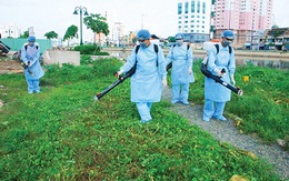 Dự kiến tăng ngân sách cho phòng, chống sốt xuất huyết