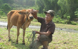 Muốn xoá nghèo bền vững, hãy đem đến... "cần câu"