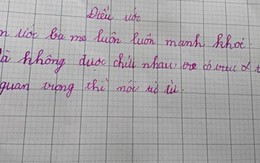 Điều ước của học sinh lớp 2: Ba mẹ đừng chửi nhau