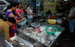 Vượt hơn 2.000 km mua thịt heo sạch