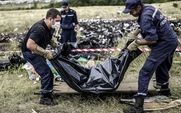 Những bức hình ám ảnh kinh hoàng về thảm họa MH17