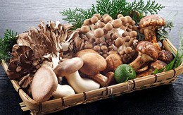 Những loại nấm bạn nên ăn vì cực tốt cho sức khỏe
