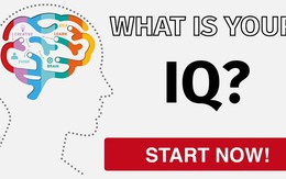 Những câu hỏi IQ không bao giờ lỗi thời