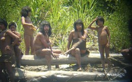 Bộ tộc bí ẩn ở Amazon bất ngờ xuất hiện, dùng cung bắn chết người