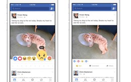 Tại sao Facebook thêm Reactions bên cạnh nút Like?