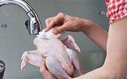 Rửa thịt gà sống làm vi khuẩn gây bệnh lây lan