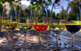 Rượu ăn mòn não người uống ra sao?