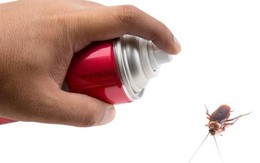 Thuốc xịt côn trùng làm tăng nguy cơ ung thư ở trẻ nhỏ