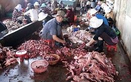 Cận Tết, thực phẩm bẩn từ Trung Quốc "đổ bộ" về Hà Nội