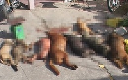Hai kẻ trộm chó bắn bị thương bảo vệ dân phố
