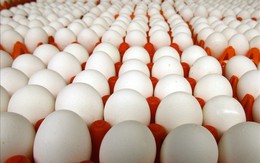 Bác bỏ tin đồn thất thiệt về trứng gà bị tiêm máu có chứa HIV