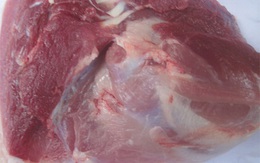 Nhiễm liên cầu khuẩn vì tiếp xúc với thịt lợn bệnh