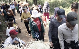 Hàng vạn người đổ về chùa Hương Tích (Hà Tĩnh) dịp đầu năm