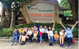 Vườn xoài - Điểm vui chơi gắn kết gia đình