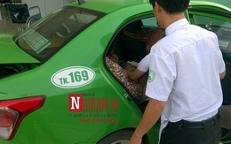 Bé gái kháu khỉnh chào đời trên taxi của chàng tài xế giỏi đỡ đẻ