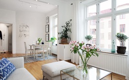 Căn hộ 42m² đẹp từng milimet với phong cách Scandinavia