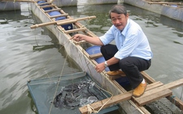 Sự tái xuất của những đại gia từng lĩnh án tử hình