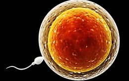 9 điều cần biết về khả năng sinh sản ở nữ giới