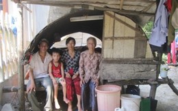 Nhà 5 người sống bên lùm cây, đêm đêm rắn rết chui vào ngủ cùng