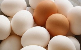 Những hiểu lầm tai hại về trứng gà hàng triệu người dân mắc phải