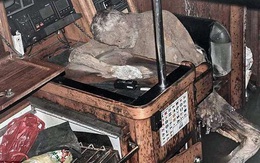 Sốc với xác khô trong du thuyền