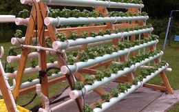 10 cách sử dụng ống nhựa PVC để làm vườn "chuẩn không cần chỉnh"