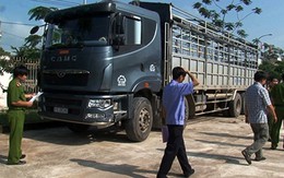 3 thiếu nữ chết thảm dưới bánh xe tải