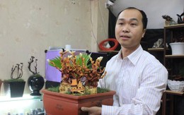 Nấm linh chi bonsai hút khách dịp Tết