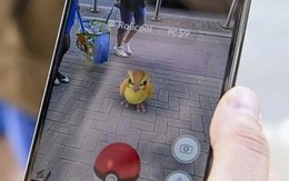 Kinh hoàng những tình huống gặp phải khi chơi Pokemon Go