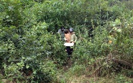 Tìm thấy thanh niên mất tích 4 ngày trong rừng