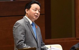 Bộ Tài nguyên chịu hoàn toàn trách nhiệm về sự cố Formosa