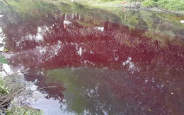 Hà Nội: Dân sợ hãi vì sống bên dòng sông nước đỏ như máu