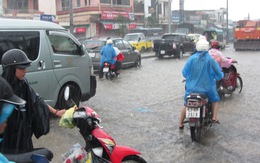 Lo có bão vào, Đà Nẵng cho  học sinh nghỉ học