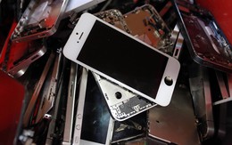 Những chiếc iPhone cũ kết thúc vòng đời ra sao?