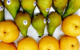 Lê ngoại tràn ngập thị trường giá từ 55.000-70.000đ/kg
