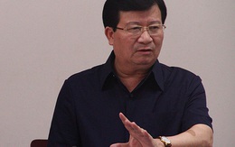Phó thủ tướng Trịnh Đình Dũng: 'Nên hợp tác quốc tế để tìm độc tố khiến cá chết'