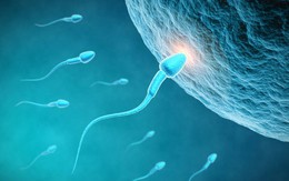 Nghiên cứu mới về thuốc tránh thai có thể chữa được vô sinh ở nam giới