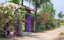 Ông bố tự tạo vườn 3000 m2 rợp cây trên đất cằn, nước mặn ở Sài Gòn