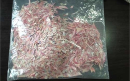 Giận con, bố cắt nát gần 500 triệu