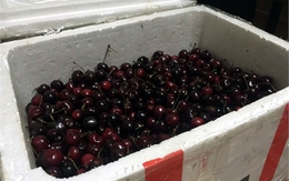 Bay từ Mỹ về Việt Nam, thùng cherry bị vơi mất 1/3