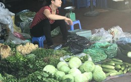 Đà Lạt rau rẻ thối, Hà Nội ăn đồ Tàu: Chờ Bộ trưởng ra tay
